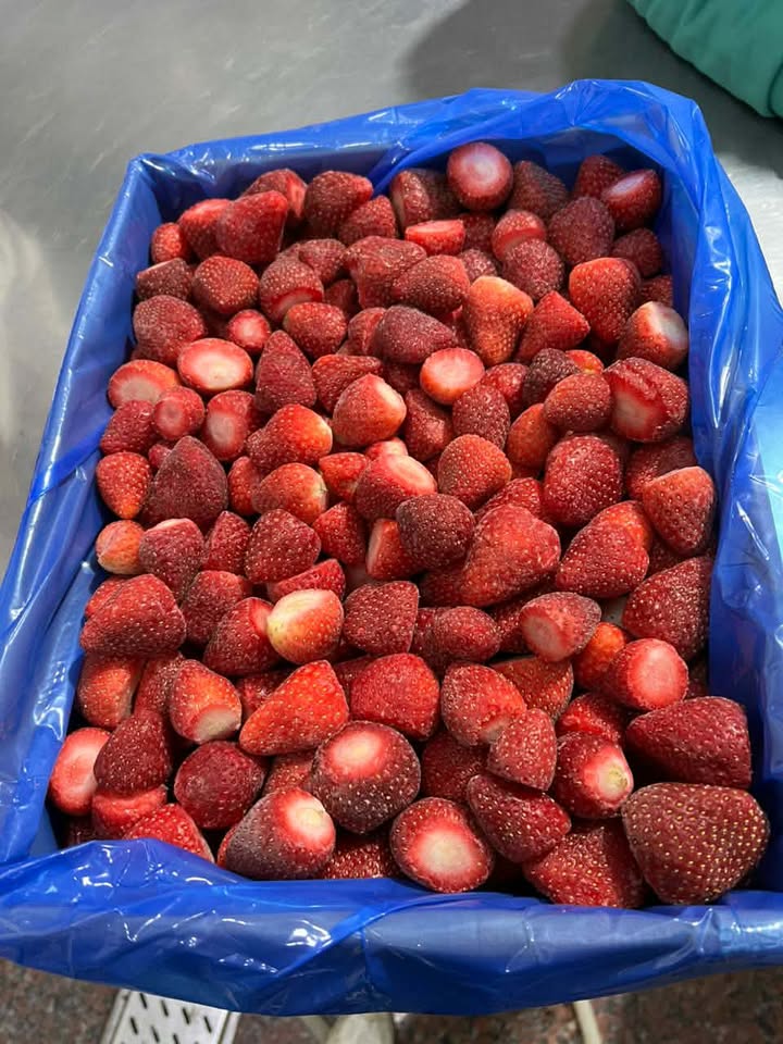 617352800 1371552158048510 2499995402733655331 n