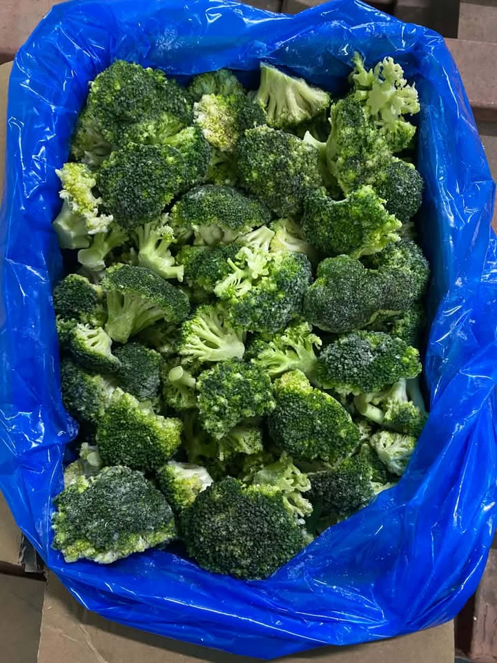 617696403 1197145535928183 7737648368157832225 n