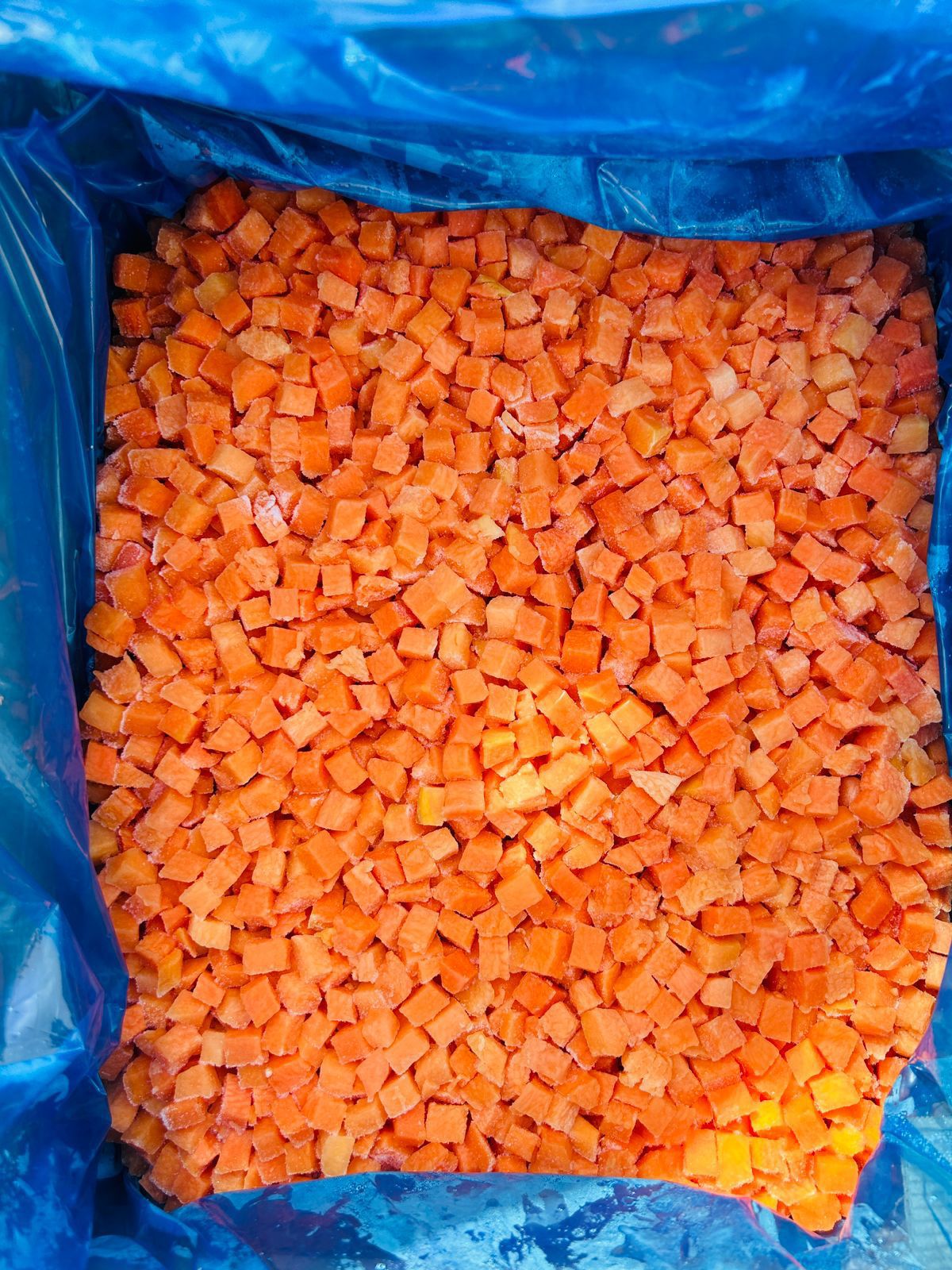 carrots 1 ccmbnfa4